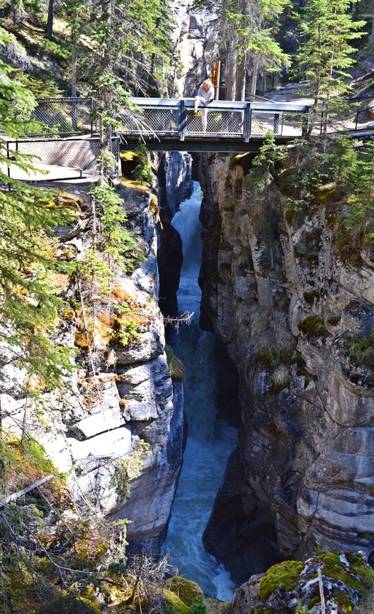 One of the six bridges crossing the Maligne River box canyon